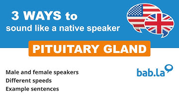 PITUITARY GLAND pronunciation | Improve your language with bab.la