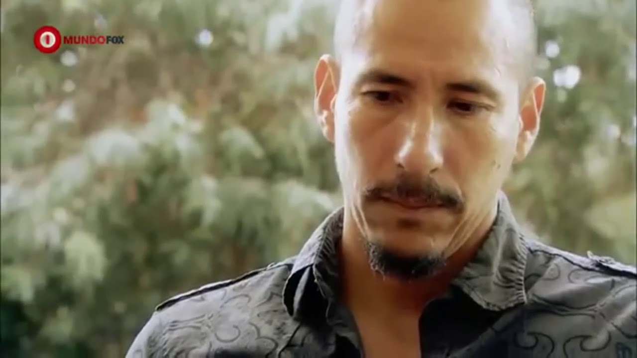 La política y el pueblo ¿somos borregos sumisos?