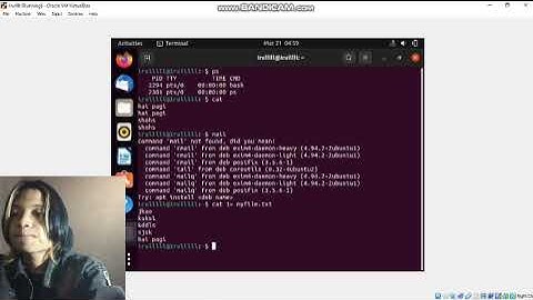 Praktikum Operasi Input Output