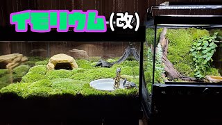 トカゲリウム　イモリウム　ポ トカゲリウム イモリウム ポ トゲイモリ亜科（亜科