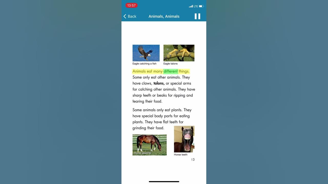 Có gì trong Science AZ? YouTube