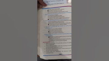 Class 9 Computer chapter 4 MCQs