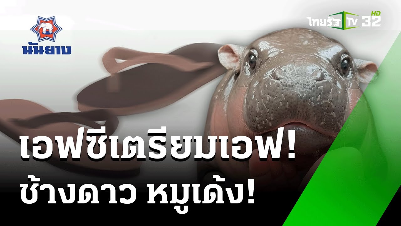 พรีออเดอร์ 