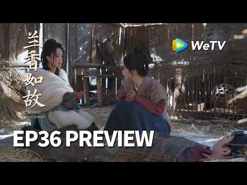 【Preview EP36】《兰香如故》Against The Current｜刘学义、谭松韵