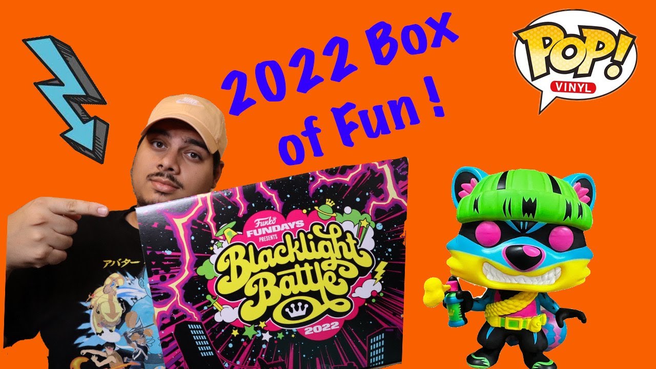 Funko 2022 Box of Fun!