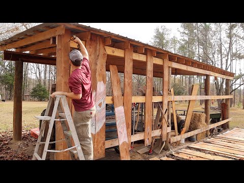 Expanding the Sawmill Shed, Part 1