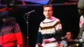 The Specials / On Colour TV (Ultra Stereo) TTF 5003