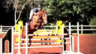 Veneza Das Cataratas Treino Chfi Jun2016