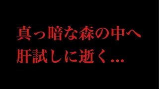 【心霊】真っ暗闇な森の中へ肝試しに行きました...
