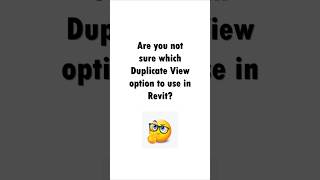 Details Which Duplicate View Option to Use in Revit Update