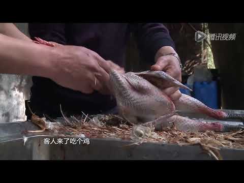 北碚东阳西山坪清如许农家乐