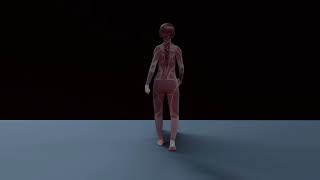 final ellie walk cycle