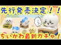 【ちいかわ】ダンボールウォッチガチャ！！先行発売決定！！時間に隠された謎にも迫る！！