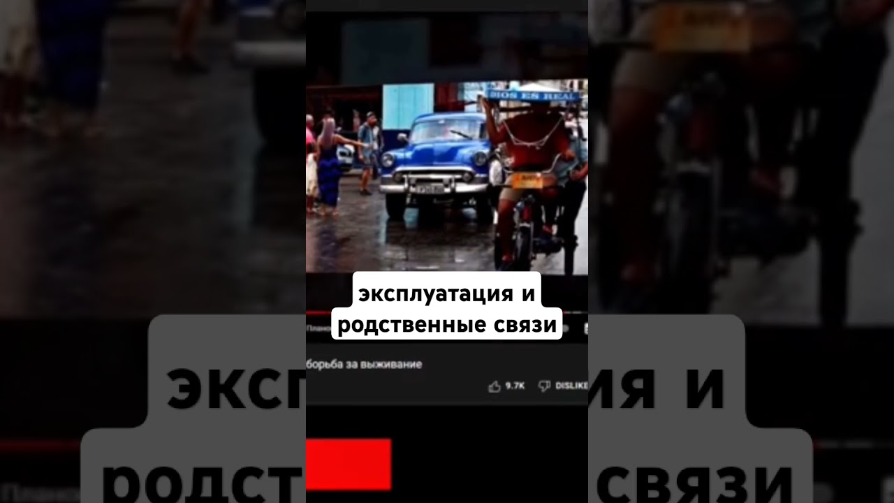 эксплуатация и родственные связи / ковёр роскошный ‎@kovjior   