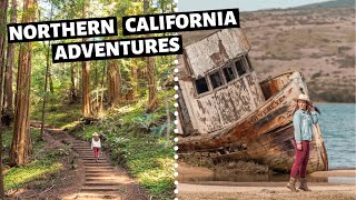BEST SAN FRANCISCO Day Trip - Point Reyes and Muir Woods
