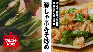 【液みそで簡単♪】豚肉とピーマンのみそ炒めの作り方｜マルコメ