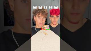 Ballerina Capuchina está mucho más guapa así! 😂