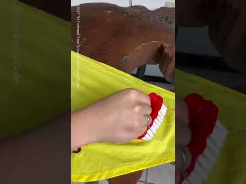 Vem conhecer os produtos preferidos dos brothers do BBB23 e do Zeus!