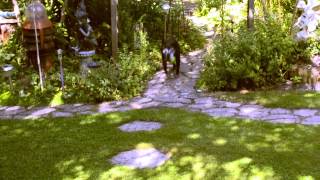 Maxs Adventures - Episode 4 - The Enchanted Garden