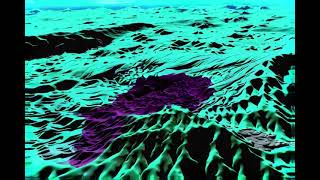Your DNA Has a Secret Control Layer