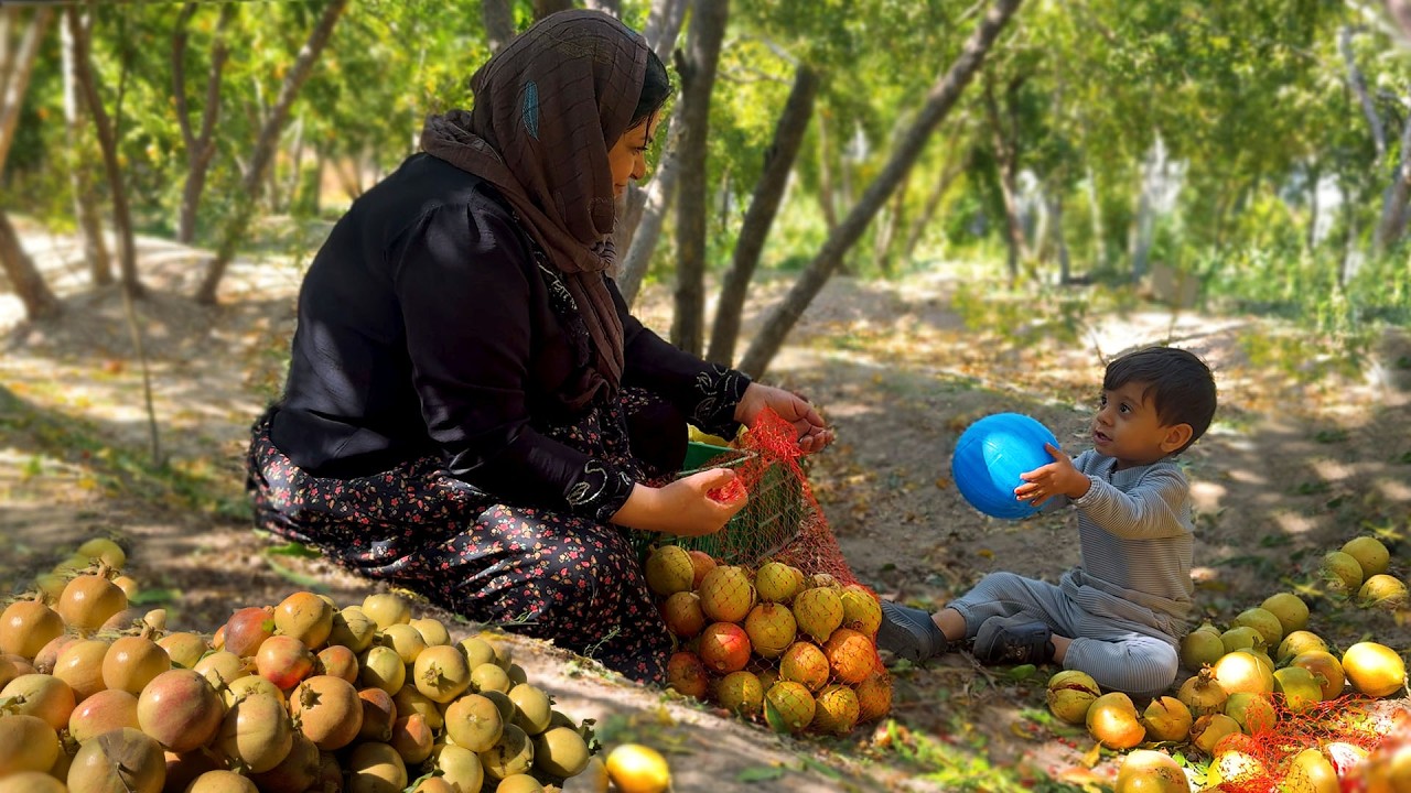 A Day in a Pomegranate Garden | The Beauty of Rural Living in Iran
