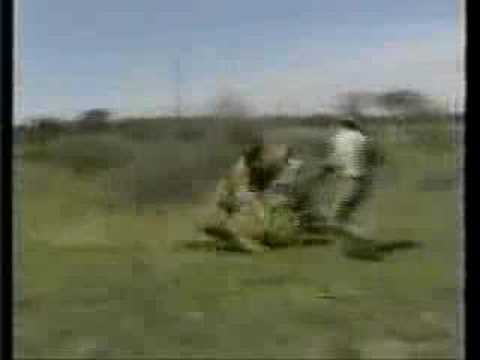 Click Click Boom Video Mix