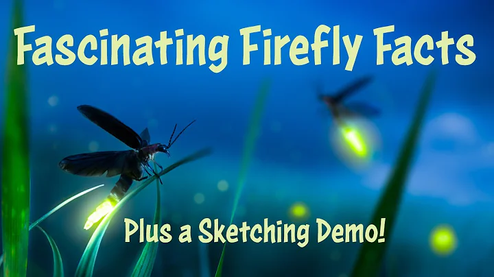 Fascinating Firefly Facts