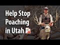 Help stop poaching in utah