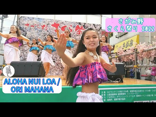 ウリウリ⭐︎美品4セット フラダンス⭐︎タヒチアン ALOHA NUI LOA / ORI MAHANA at さがみ野さくら祭り 2022 タヒチアン