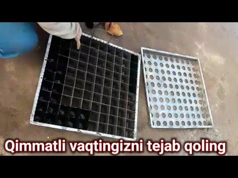 Video: BlackBerry Sibirda: Ekish Va Parvarish Qilish. Uni Qishga Qanday Yopish Kerak? O'sish Uchun Eng Yaxshi Navlar. Kuzda Qishga Tayyorgarlik. Tikanlarsiz Mazali Qishga Chidamli Erta Qo