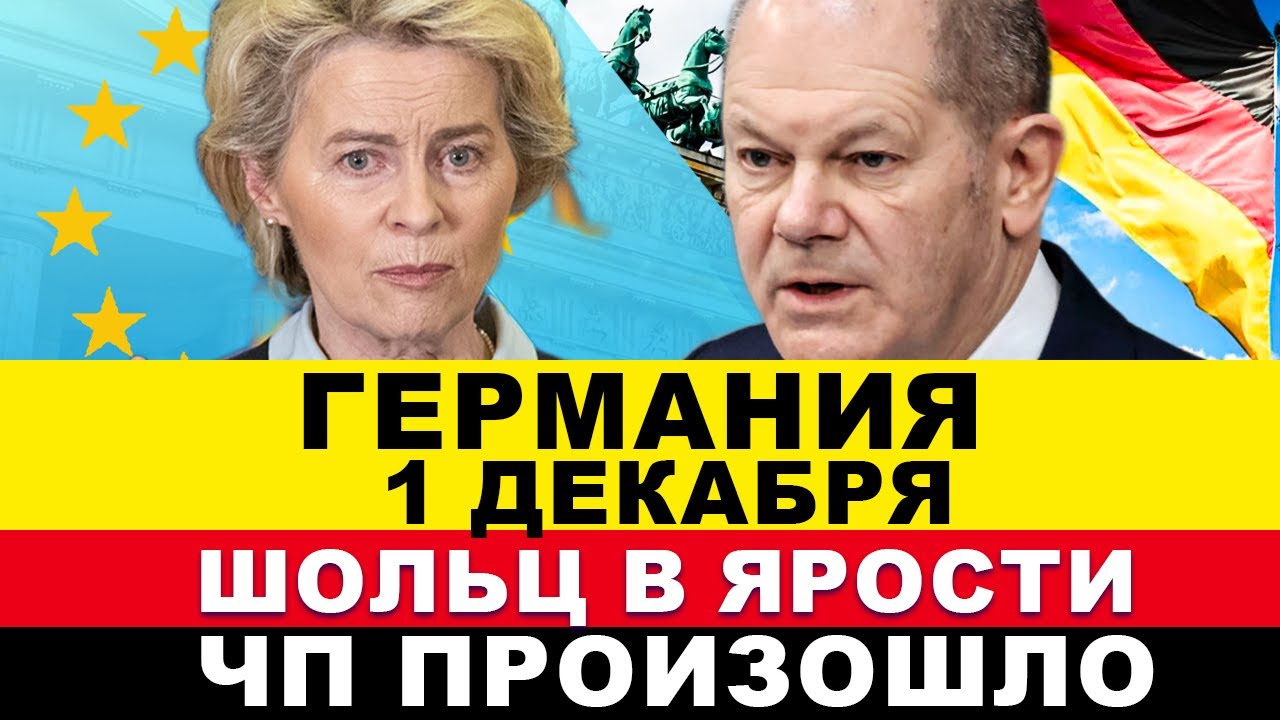 ГЕРМАНИЯ 2024. ШОЛЬЦ В ЯРОСТИ. Неожиданный поворот AfD? Заявили ракеты Taurus. Хитрый план беженцев