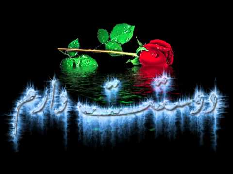 شاهین فیروزی عشق من