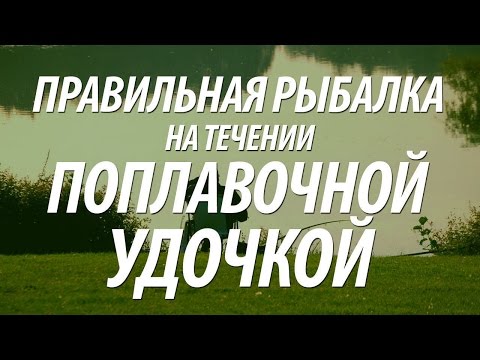 КАК ЛОВИТЬ РЫБУ НА ПОПЛАВОЧНУЮ УДОЧКУ В ПРОВОДКУ С БЕРЕГА