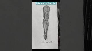 learn to draw man arms (front view) #menarm #gymeffect #biceps #bodyfeatures #humanarm #easytechniqe