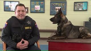 Lake County Sheriff`s canine officer in the running for K9 of the Year Award