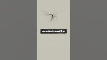 Replacing animals in pharmaceutical toxin safety tests