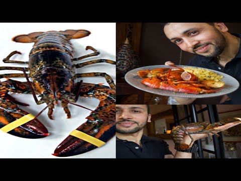 #homard #lobster سرطان البحر 🦂بشرمولة مغربية اللي ماكاينش ألذ منها 😍