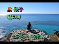 島 悦子 鵜の岬 2023.11.08発売