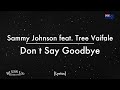 Sammy Johnson Feat Tree Vaifale Don T Say Goodbye Lyrics mp3