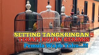 Cara Burung Lovebird Nagen Di Tangkringan