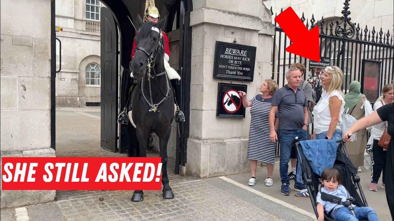 Disrespectful Lady Confronts Royal Guard After Ignoring Rules