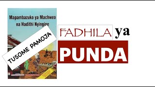 fadhila za punda kusoma | fadhili za punda | mapambazuko ya machweo pdf | mwongozo wa mapambazuko screenshot 4