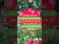 حالات واتس اب العيد احلى مع أولادي