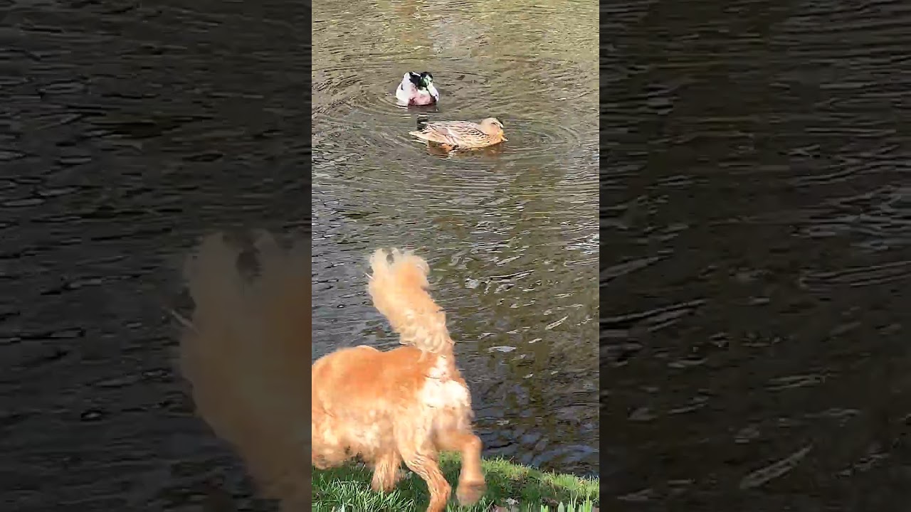 Sefton Park / Liverpool / UK