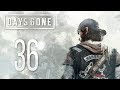 Days Gone | En Español | Capítulo 36 &quot;No quiero que me cuelguen&quot;