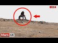 Perseverance Rover Latest Images - SOL 1574 | Mars Planet Real Video | Mars 4K | Mars Rover Footage