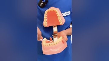 HƯỚNG DẪN CHẢI RĂNG ĐÚNG CÁCH, ĐỂ KHÔNG PHẢI MẤT RĂNG l HỆ THỐNG NHA KHOA THẨM MỸ NỤ CƯỜI VIỆT
