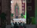 Rosario en Inglés, a la Virgen de Guadalupe