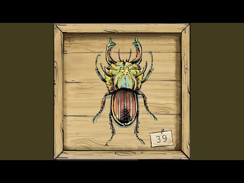 Morgen nach Fest (Dorad’s Acidknorke)