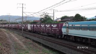 東海道本線 大垣 - 柏原 2011/09撮影 EF66